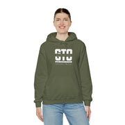 GTO Hoodie - Game Theory Optimal Poker Sweatshirt for Poker Pros