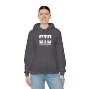 GTO Hoodie - Game Theory Optimal Poker Sweatshirt for Poker Pros