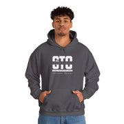 GTO Hoodie - Game Theory Optimal Poker Sweatshirt for Poker Pros